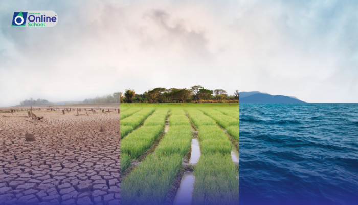 Lesson 09: Report on the Impact of Climate Change